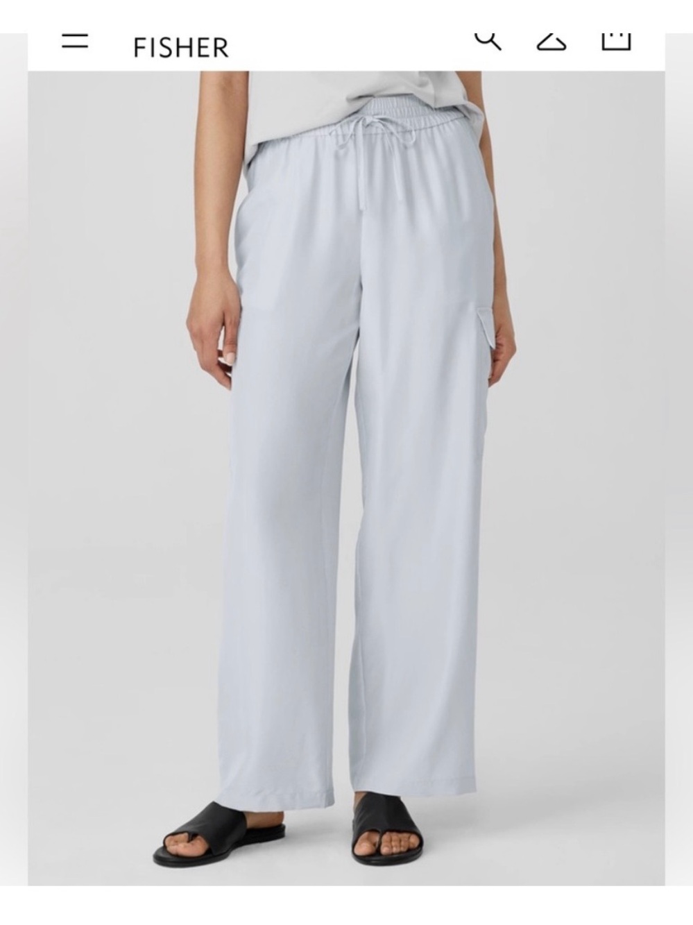 NWOT Eileen Fisher Women's Washed Silk Cargo Pants